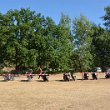 Treffen 2022 - 207